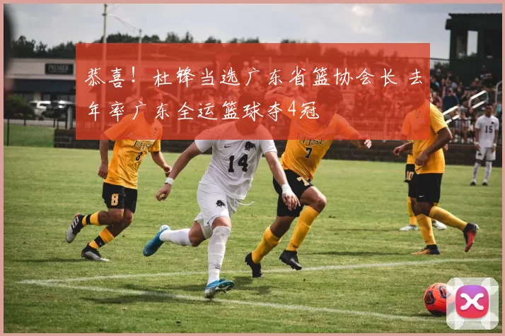 恭喜！杜锋当选广东省篮协会长 去年率广东全运篮球夺4冠